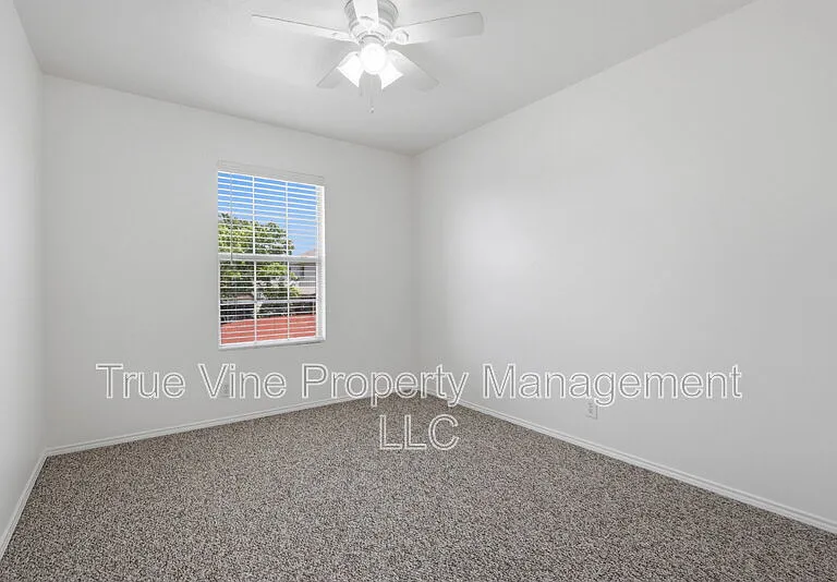 136 Texas Mulberry — Photo 18
