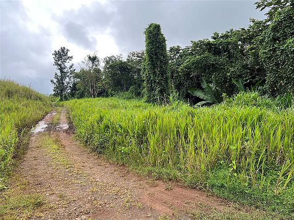 3rd image of Km .2 Int Bo Helechal Pr #152