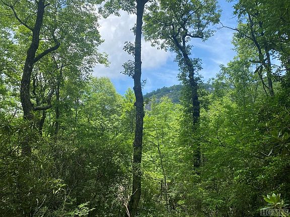 5th image of Lot 14 Double Knob Trail