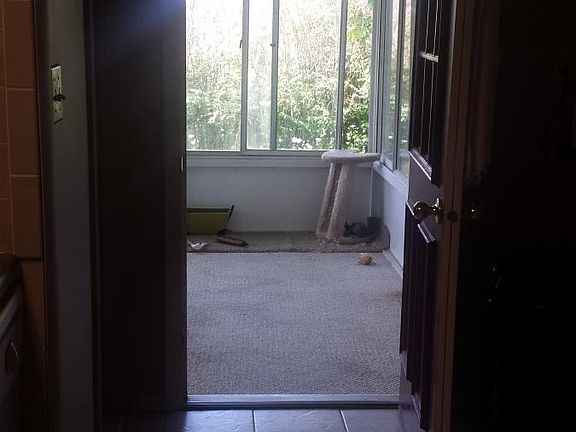 Kitchen into Sunroom