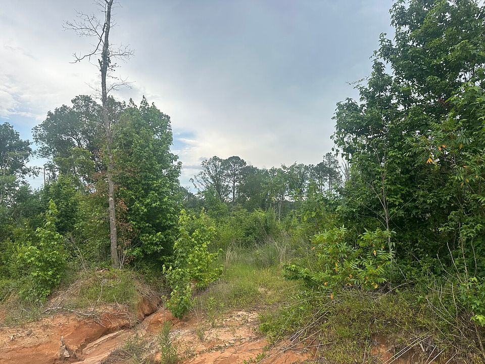 2nd image of 0 Highway 43 Tract S #D