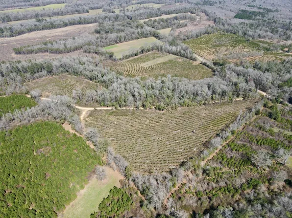 0 County Road 13, Coy, AL 36435