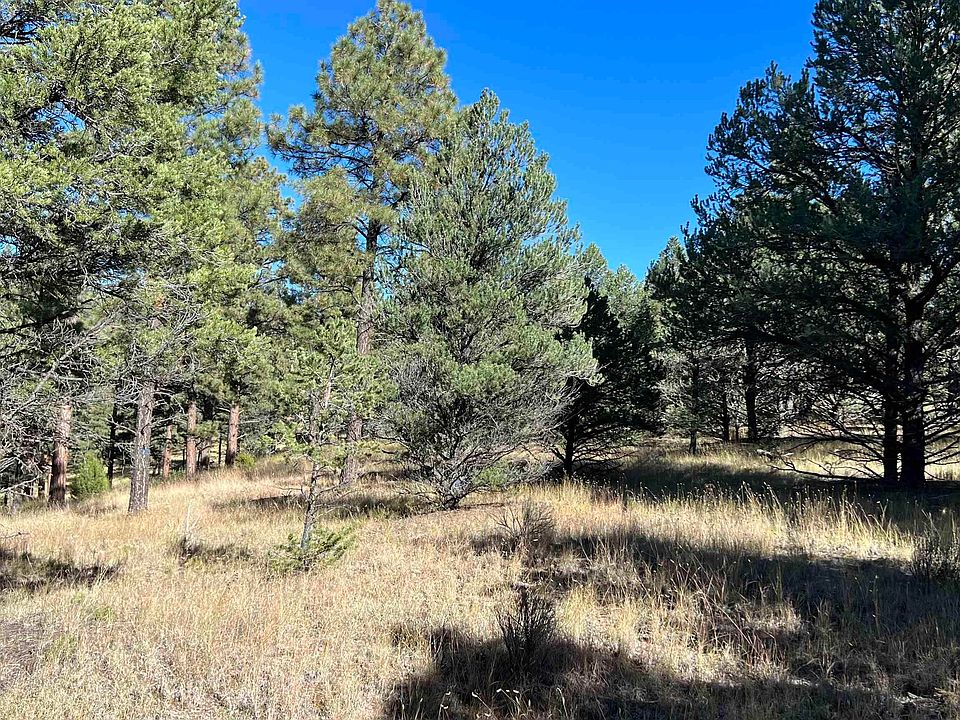 Sunset Dr, Quemado, NM 87829 Zillow