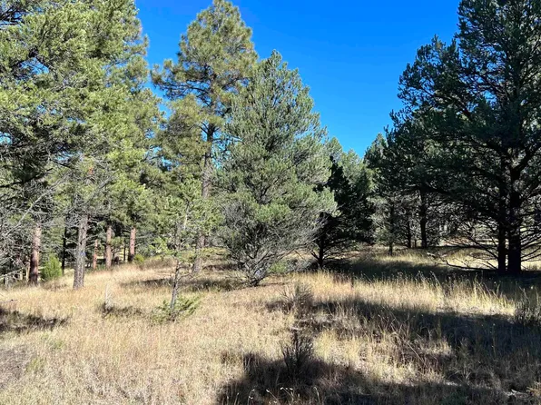 Sunset Dr, Quemado, NM 87829