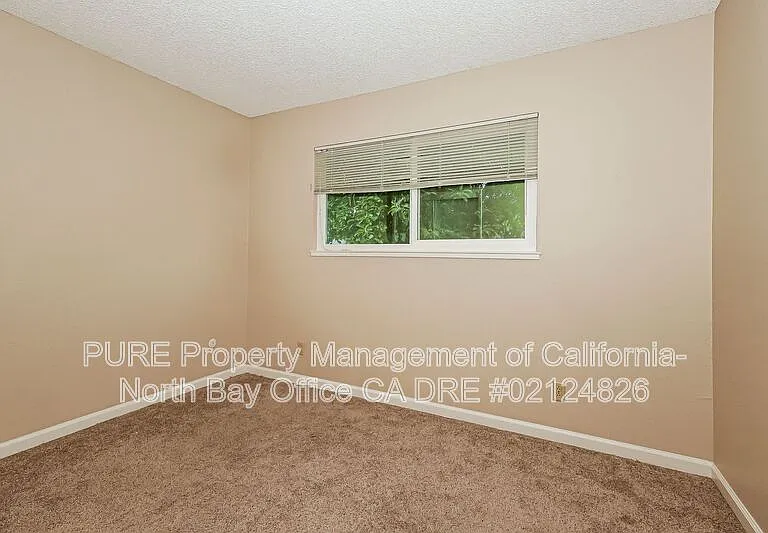517B Debbie Dr — Photo 14