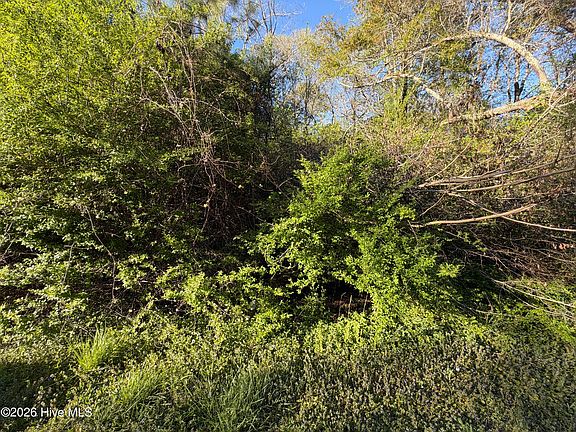 4th image of 0 Mcgowan Road