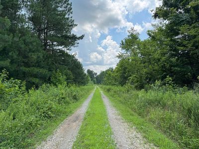 LOT 1 Stroud Ln, Centertown, KY, 42328