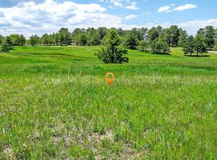 17255 Forest Green Way LOT 70, Elbert, CO 80106