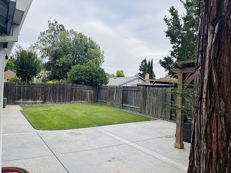 Backyard stamped concrete