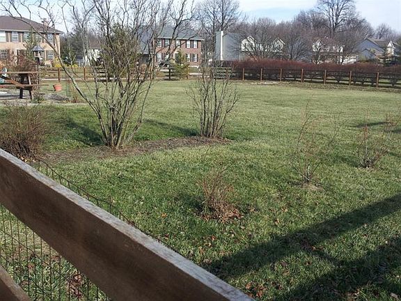 2nd image of 1540 Wild Cherry Dr