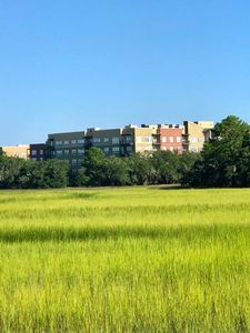 145 Pier View St Unit 208, Daniel Island, SC, 29492