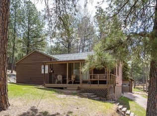 396 S 1st St, Custer, SD 57730