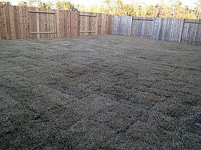5th image of 8714 Sunrise Canter Dr