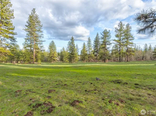 20 Greyback Mt Road, Goldendale, WA 98620