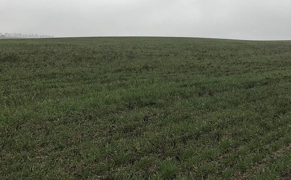1st image of 0 E B St
