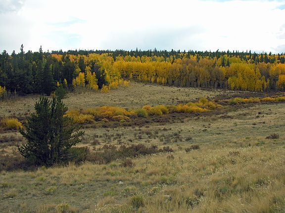 4th image of Bluestem Way