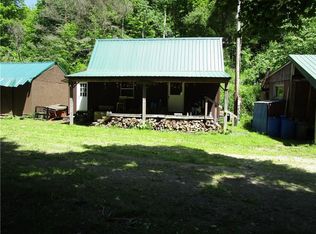10105 Mattice Rd, Cohocton, NY 14826