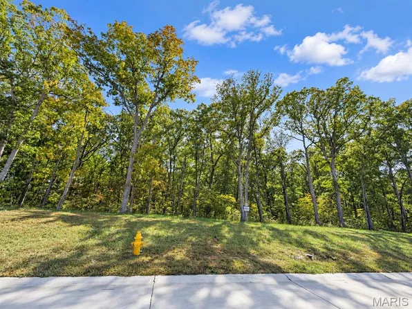 3 Forestdale Ln, Warrenton, MO 63383