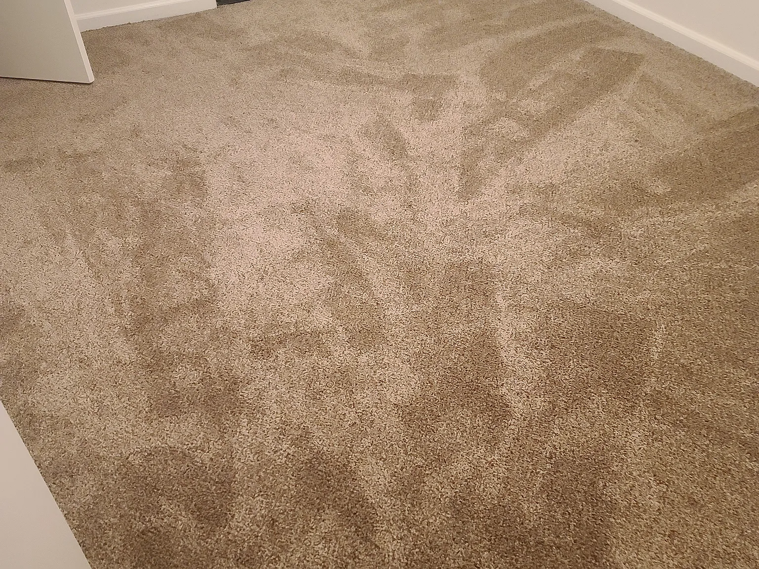 1 bed, 540 sqft, $2,000 — Photo 3