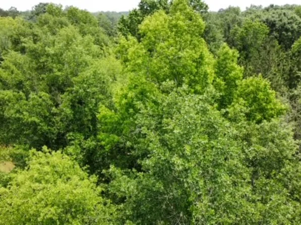 0 Odis Cooper, Kirbyville, TX 75956