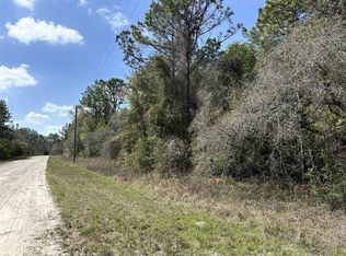0 Courlan Rd LOT 11, Brooksville, FL 34614