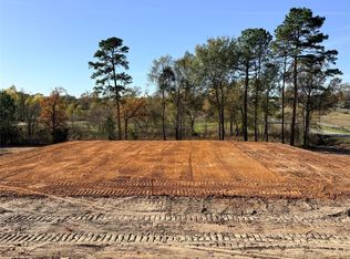 10118 County Road 302, Plantersville, TX 77363