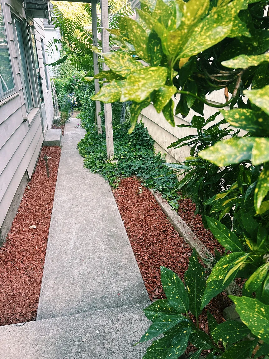 5420 Shasta Ave APT B photo 1