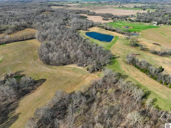 1802 Claylick Rd, Marion, KY 42064