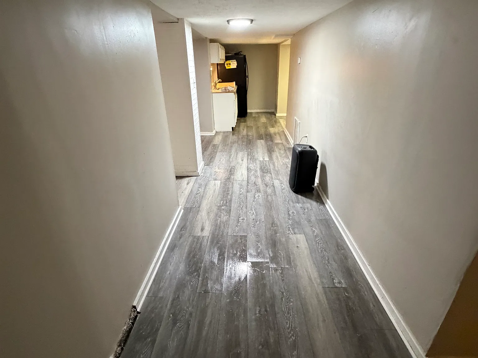 1 bed, $800 — Photo 4