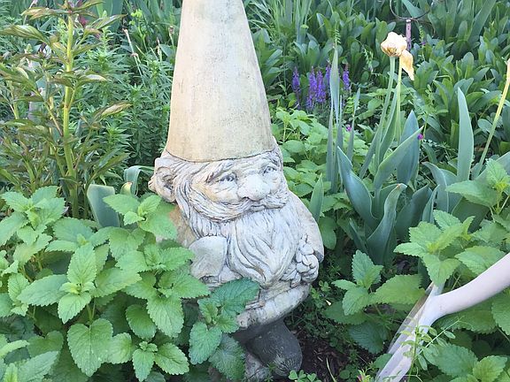 The Gnome says HI