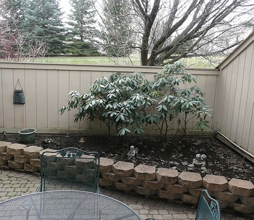 Doors from family room lead to covered garden patio.