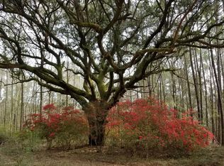3882 Srevir St, Johns Island, SC 29455