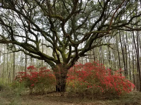 3882 Srevir St, Johns Island, SC 29455