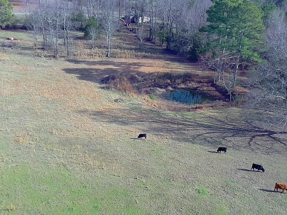 2nd image of County Road 109
