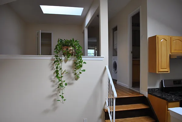 Rented by Bridgeview Realty | media 19