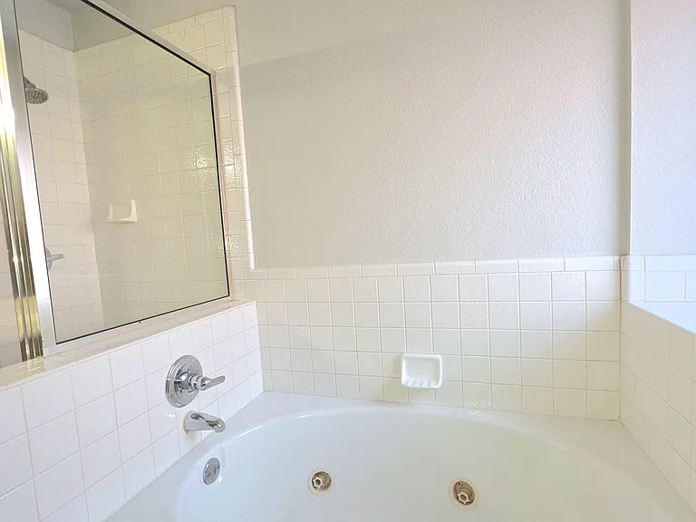 Master Bathroom with shower & jacuzzi