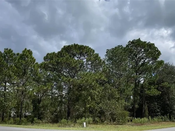 County Road 243a Lot 23, Wildwood, FL 34785