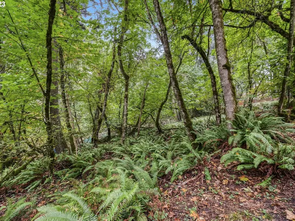 N Shasta Loop, Eugene, OR 97405