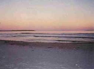 8169 Dutch Street Rd, Wolcott, NY 14590