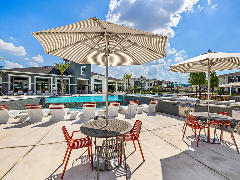 The Canopy at Springwoods Village — Photo 15