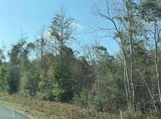 LOT 13 Dr Brown Rd, Deridder, LA 70634