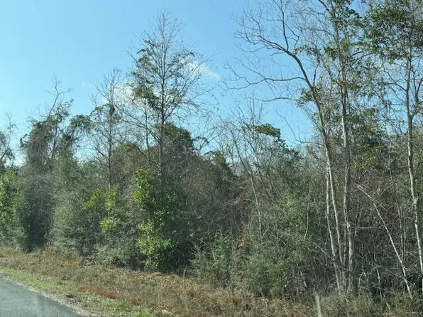 LOT 13 Dr Brown Rd, Deridder, LA 70634