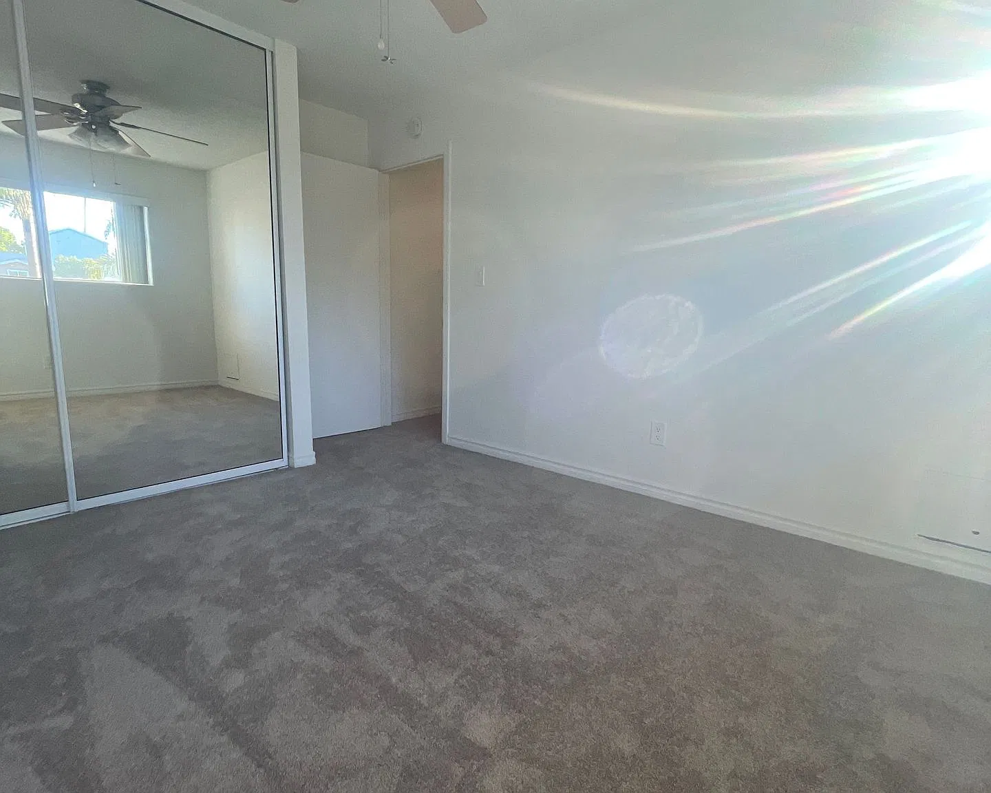Arlington Apartments — Photo 4