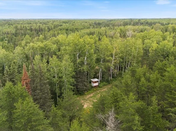 TBD Pulkinen Rd, Embarrass, MN 55732-0000