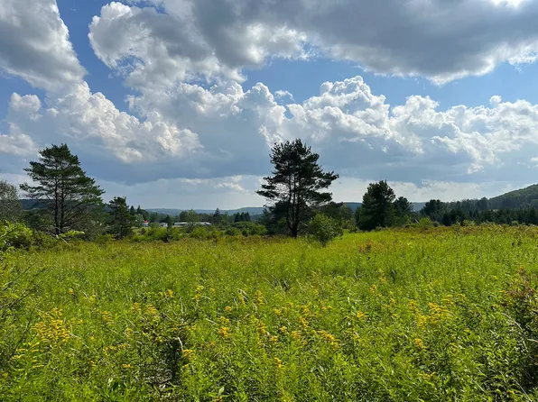 County Road 17 Lot Wp001, Friendship, NY 14739