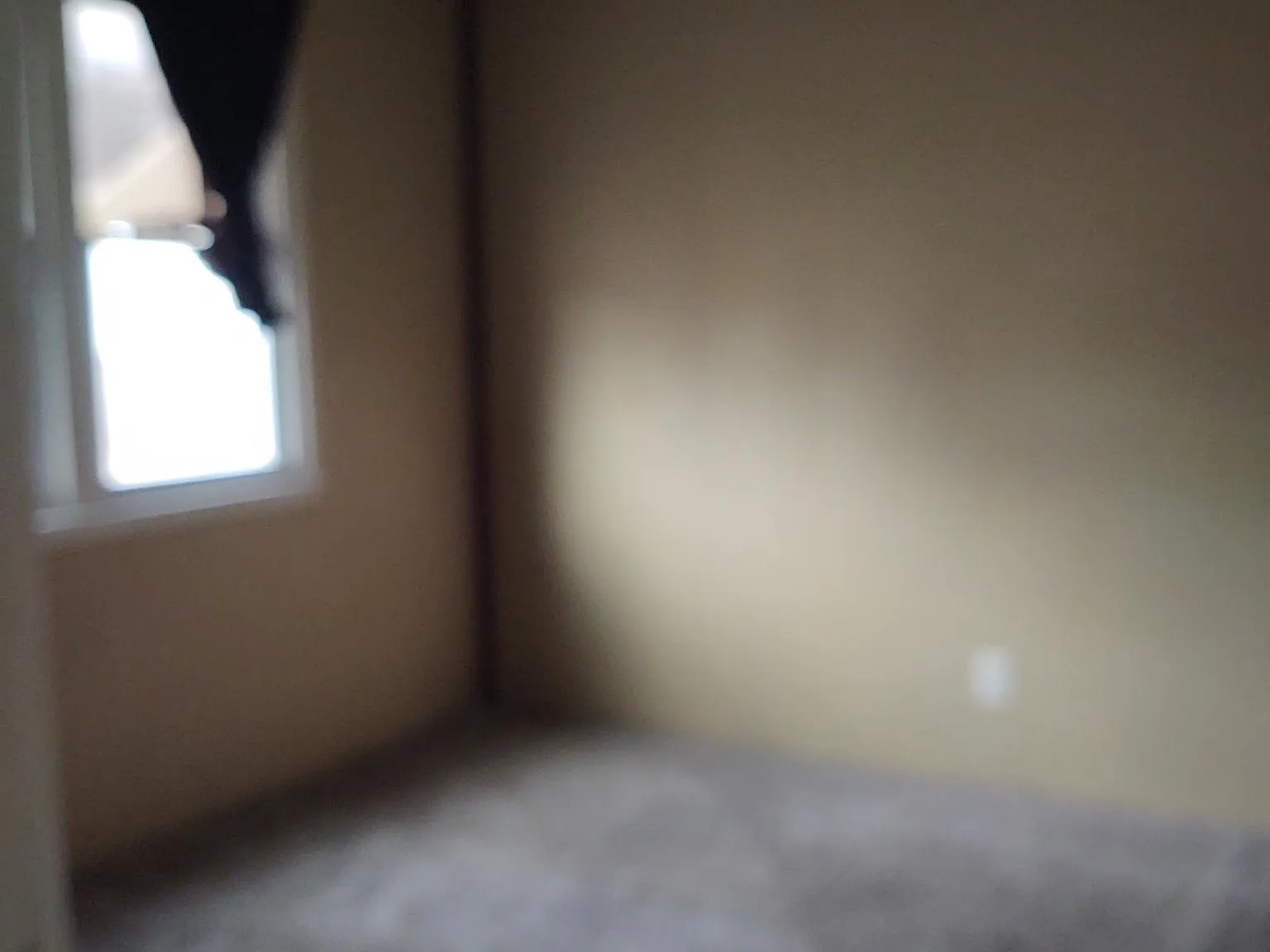 1 bed, 750 sqft, $1,350 — Photo 1