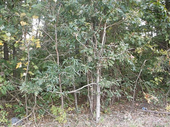 5th image of Tract A Holly Berry Ln