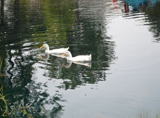 13419 Gilbert Rd, Riley, MI 48041