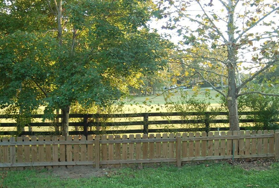 Back yard view-- peaceful horse pastures and lovely trees...