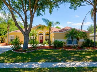 3814 Saddle Ridge St, Valrico, FL 33596